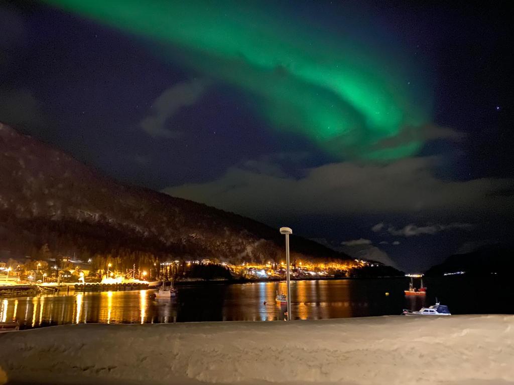 nordlichter aurora pulver schnee ski touring norway